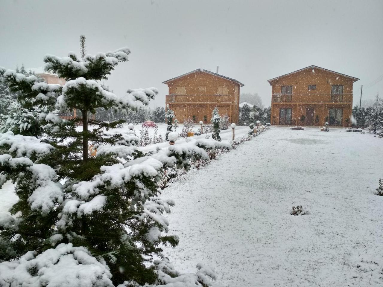 Kastor Chalets Ampelokipoi  Zewnętrze zdjęcie
